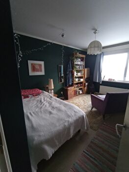 Looking for a new roommate in Kaleva