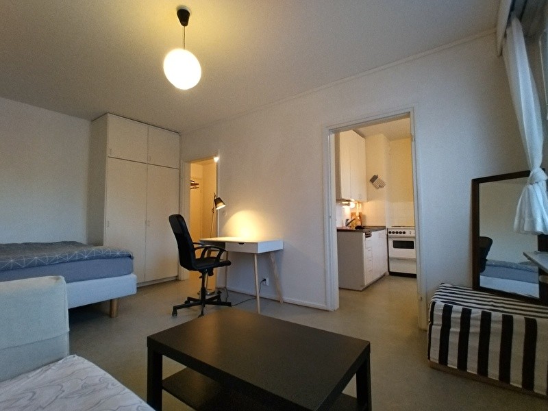 Cozy 30.5 sq. m. furnished studio apartment with a separate kitchen